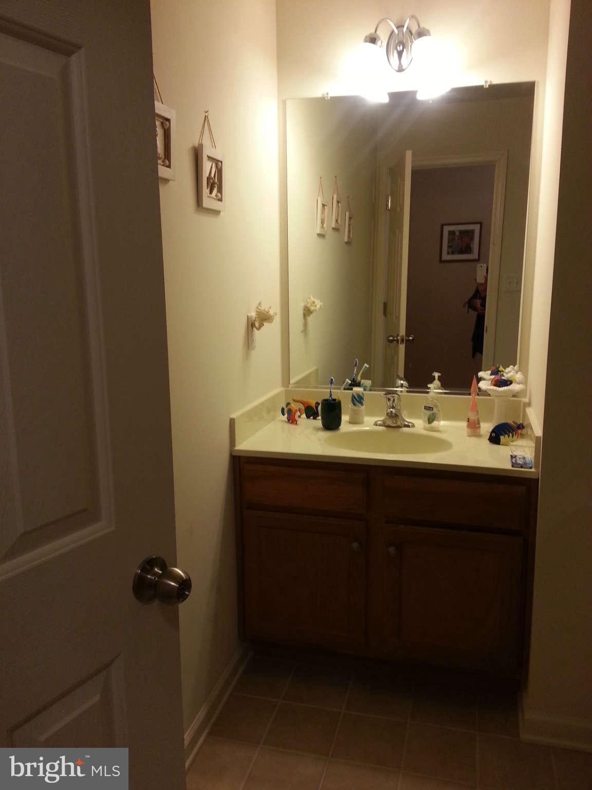 267 Rippling Waters Way Falling Waters, WV 25419 - Photo 25 of 29 Bath