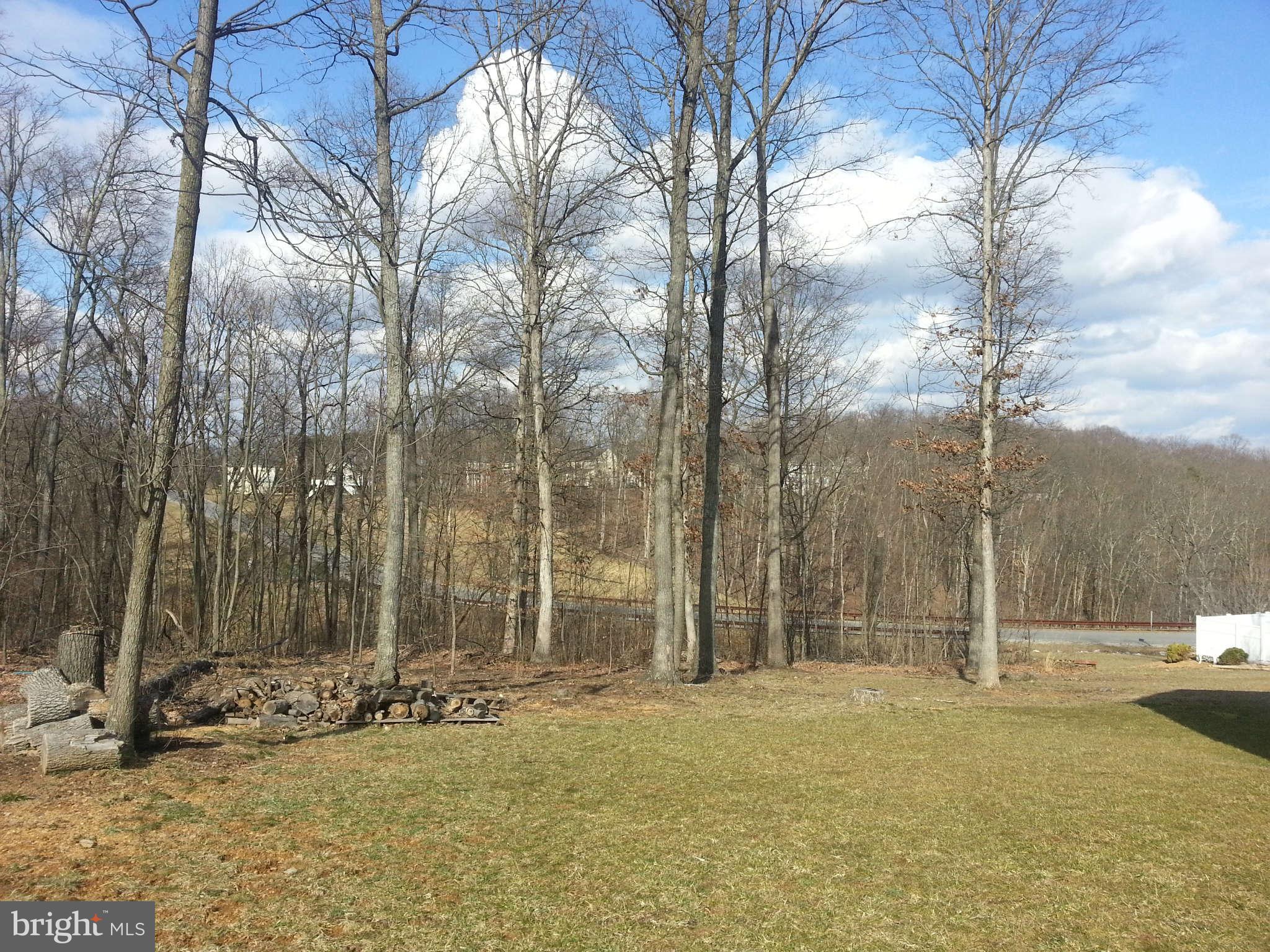 267 Rippling Waters Way Falling Waters, WV 25419 - Photo 29 of 29 Back yard