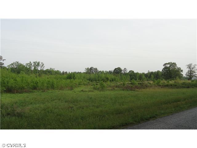 19120 Halligan Park Road Carson, VA 23830 - Photo 2 of 6 Land