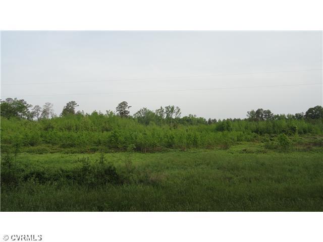 19120 Halligan Park Road Carson, VA 23830 - Photo 3 of 6 Land