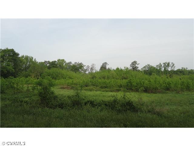 19120 Halligan Park Road Carson, VA 23830 - Photo 4 of 6 Land