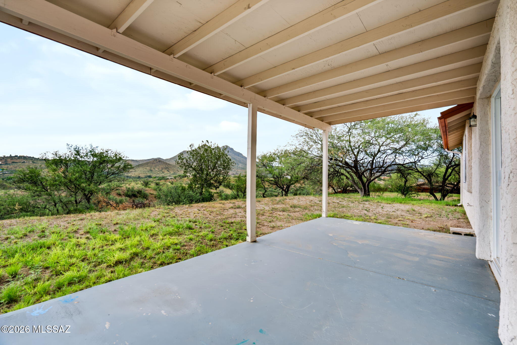 1164 Calle Remedios Rio Rico, AZ 85648 - Photo 24 of 24 Backyard