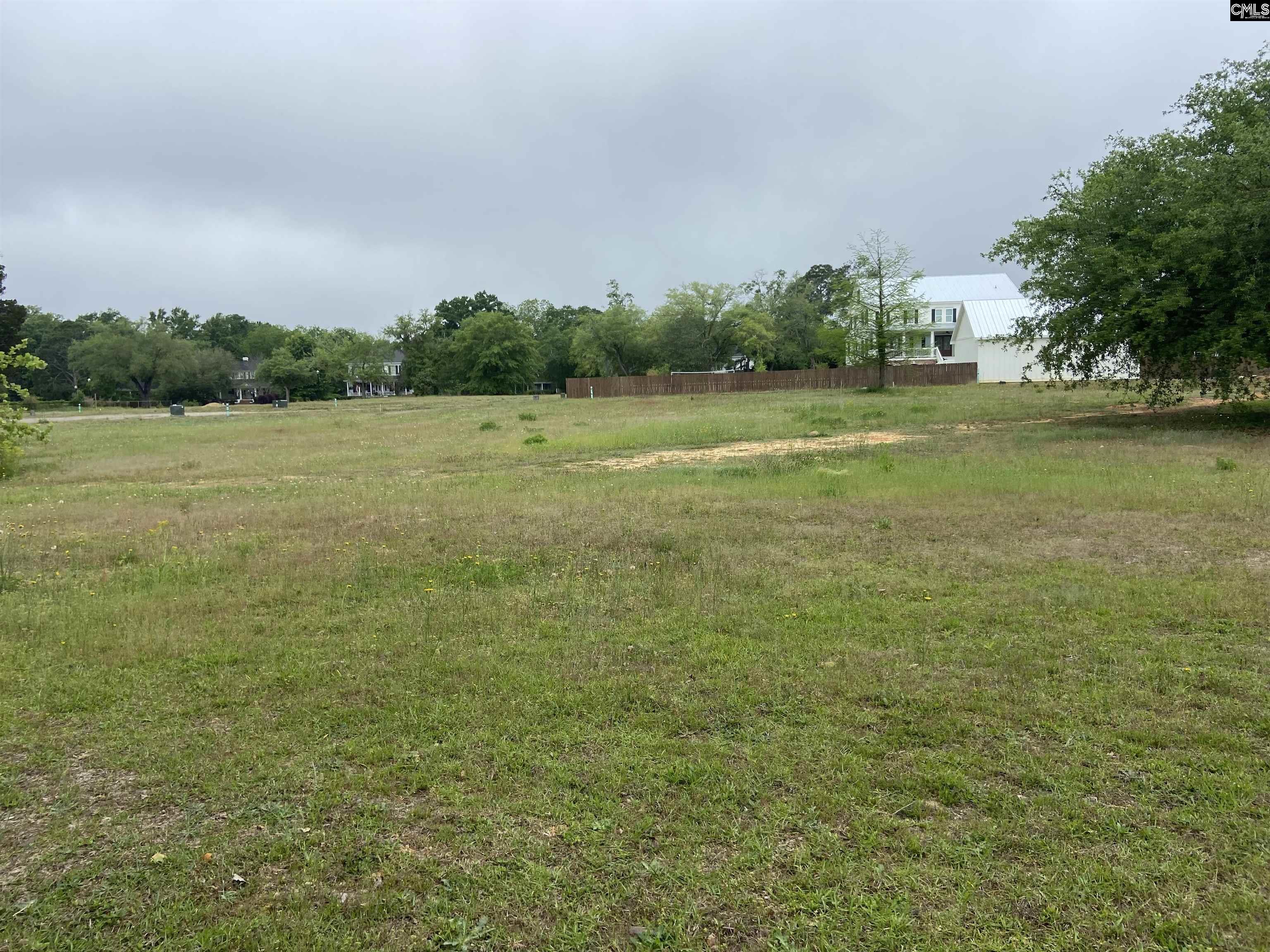 1305 Fair Street Camden, SC 29020 - Photo 6 of 7 a view of a field with trees in background