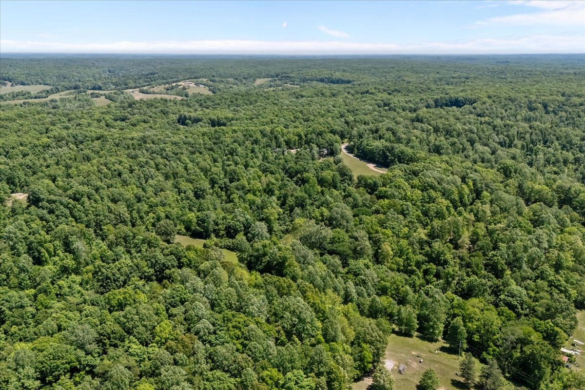 254 Shiloh Hollow Road Erin, TN 37061 - Photo 54 of 63