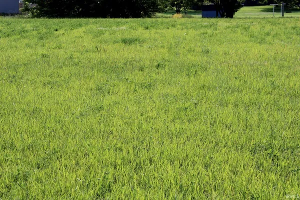 $29,900 | 13 Cathy, Princeton, IN 47670