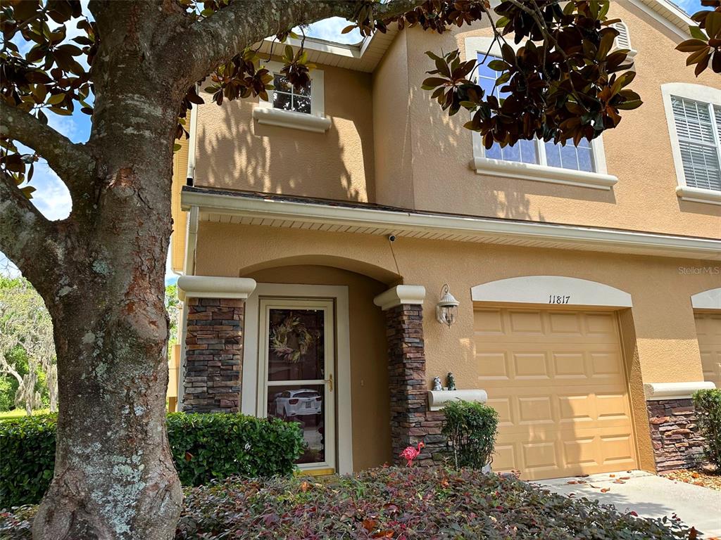 11817 Castine Street New Port Richey, FL 34654 - Photo 1 of 1 a front view of a house with garden