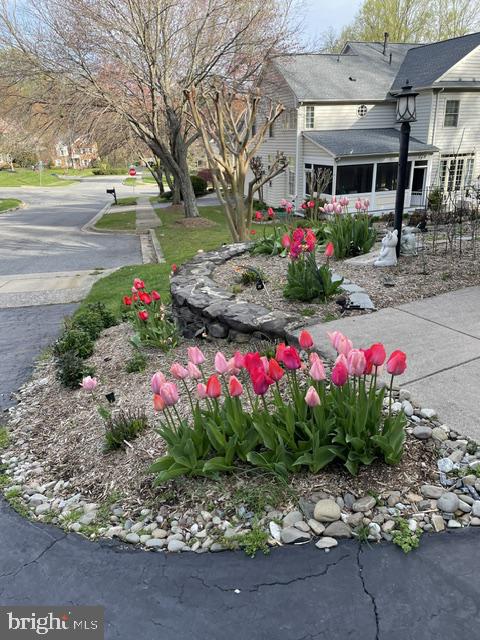 124 Seahawk Lane Edgewater, MD 21037 - Photo 62 of 68 Beautiful landscaping throughout.