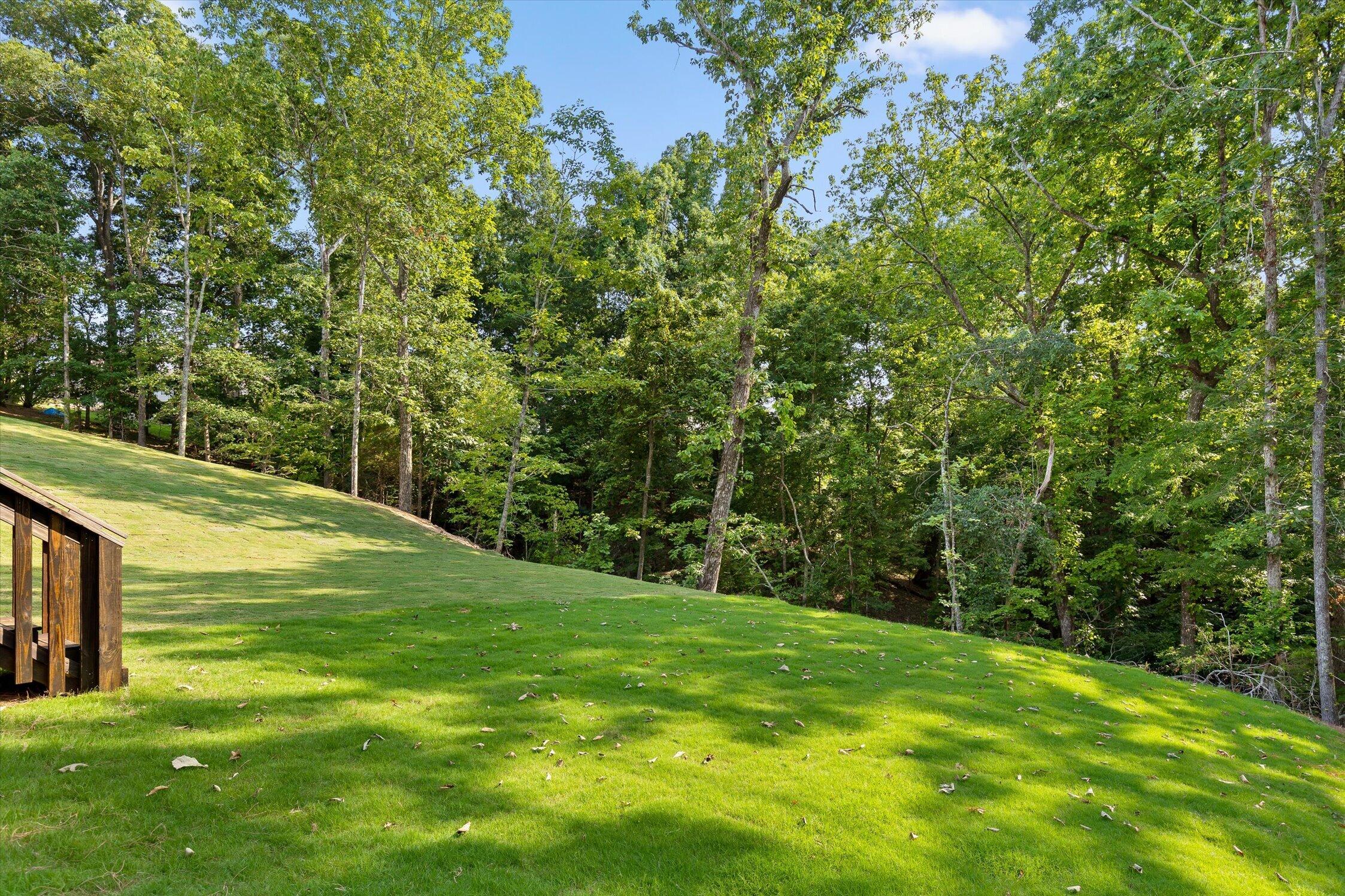 6314 Shirley Pond Road Harrison, TN 37341 - Photo 55 of 60 11-6314 Shirley Pond-11