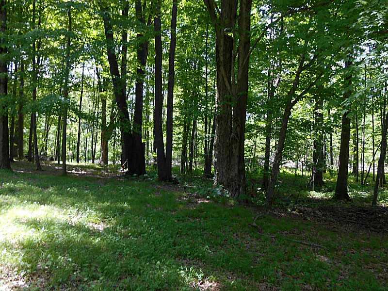6183 Scott Road Jamestown, PA 16134 - Photo 25 of 25 Yard/Garden.