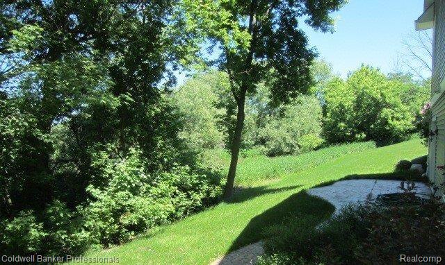 1569 Hadley Road Lapeer, MI 48446 - Photo 18 of 20 Creek on North Side