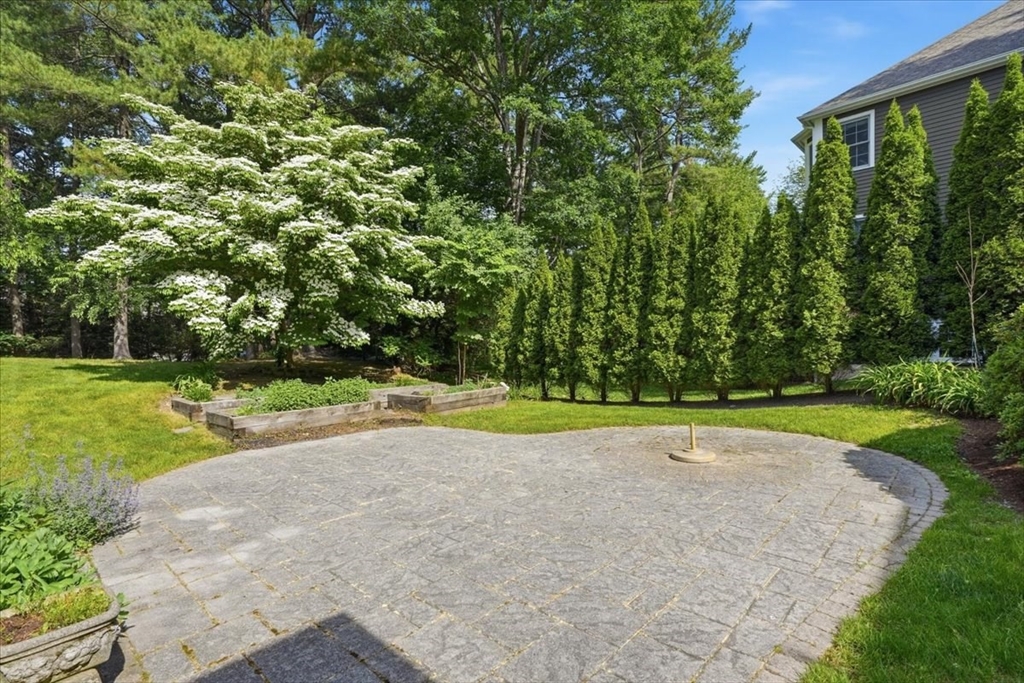 97 Green Street Needham, MA 02492 - Photo 37 of 42