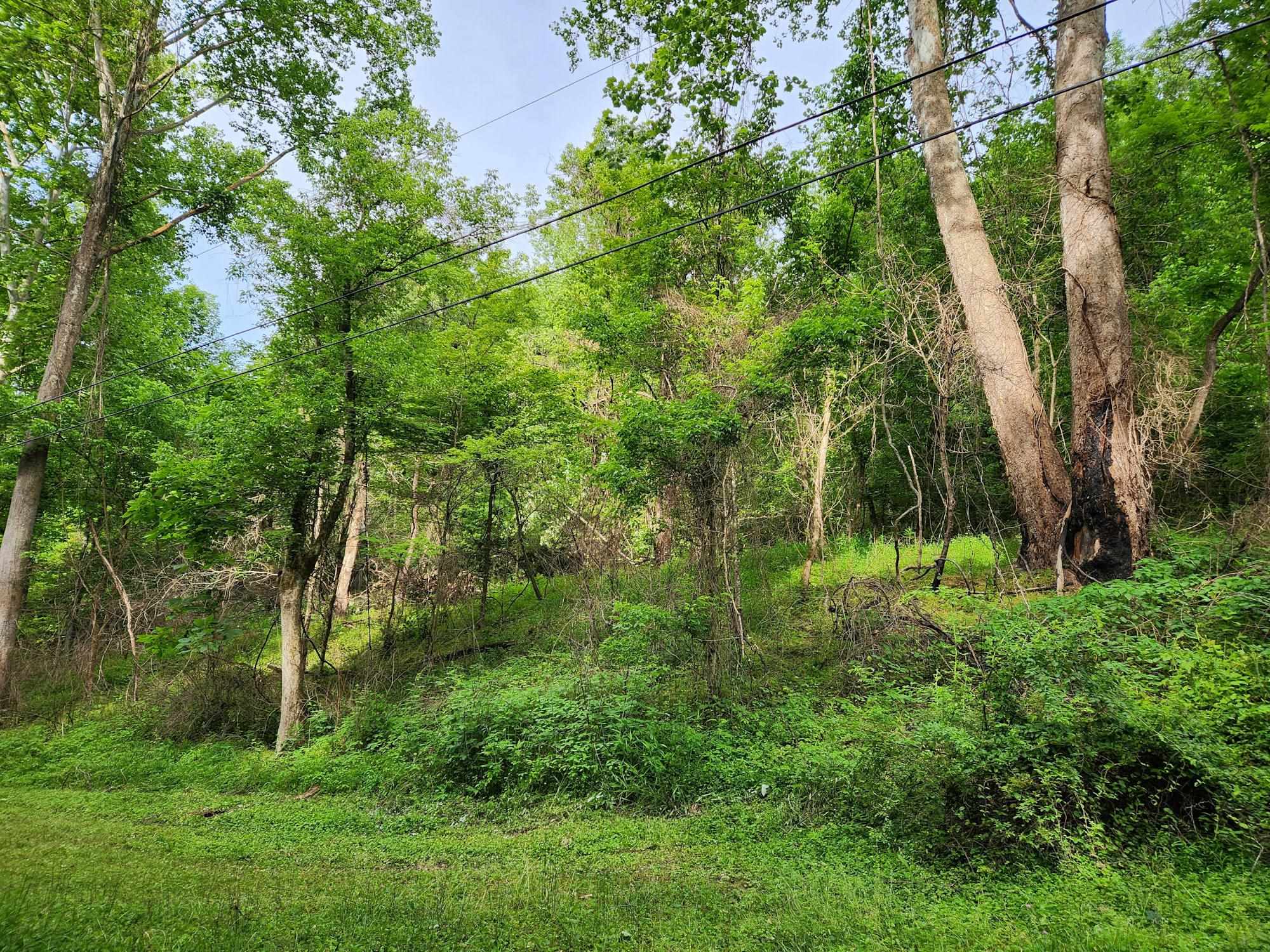 0 Clay Hollow Road Rush, KY 41168 - Photo 13 of 50 Gallery Image 13