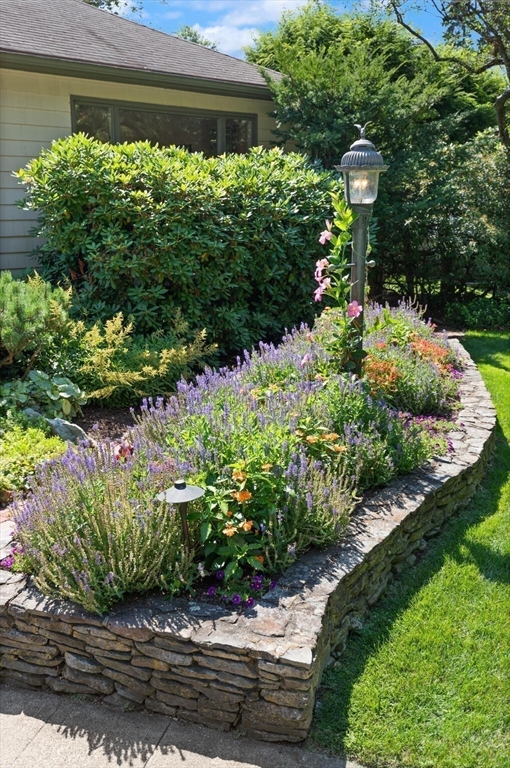 77 Wellesley Road Belmont, MA 02478 - Photo 29 of 31 a front view of a house with a yard and potted plants