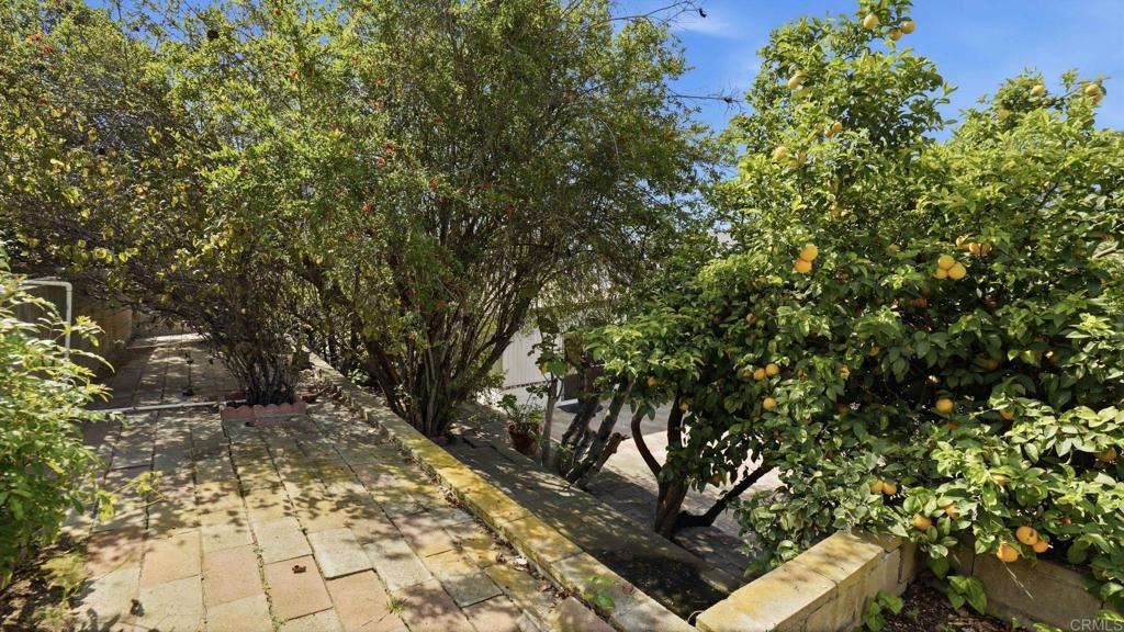 103 Arran Avenue Spring Valley, CA 91977 - Photo 48 of 52