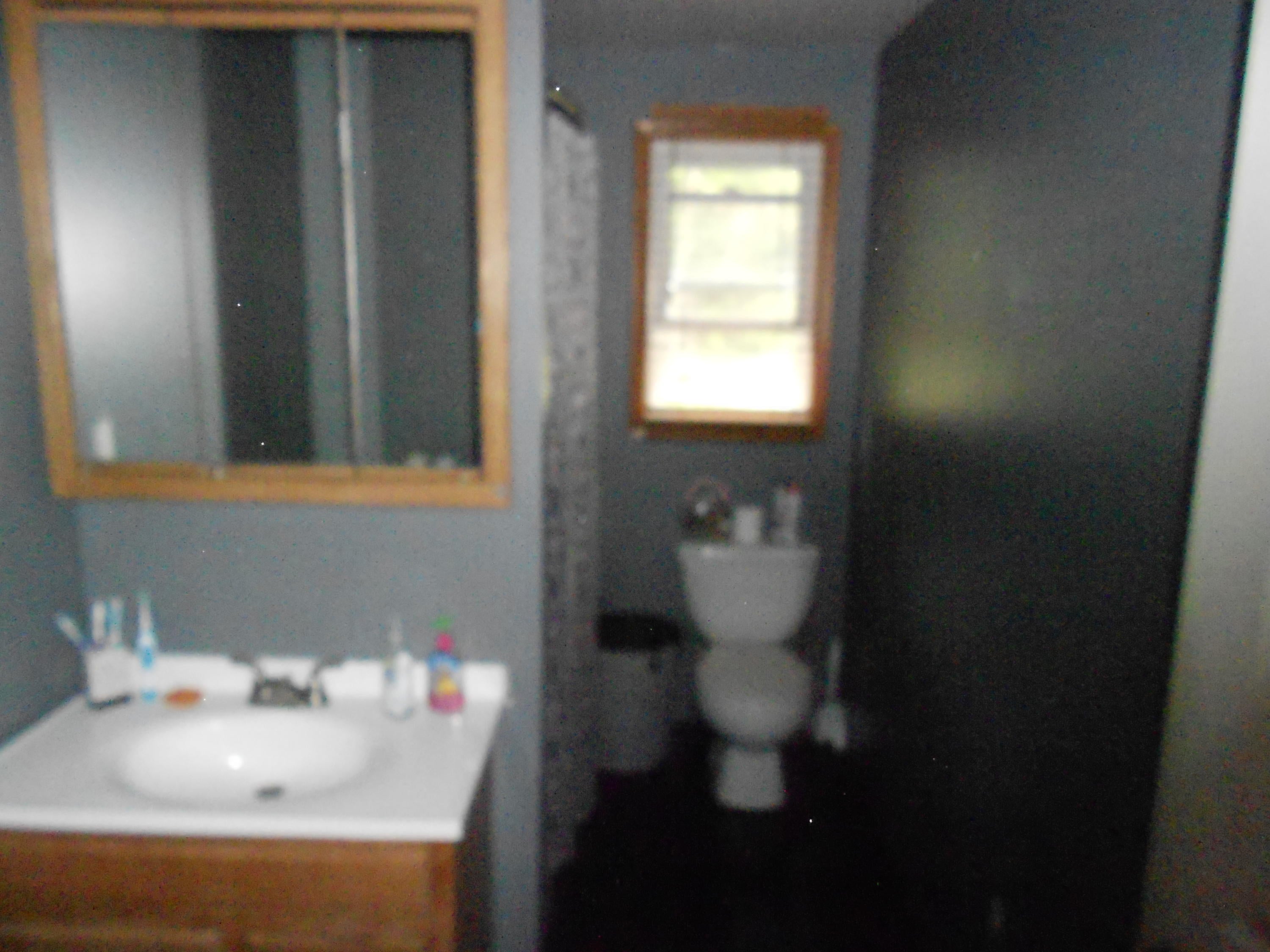 395 Isenhauer Road Grayling, MI 49738 - Photo 7 of 11 Gallery Image 7