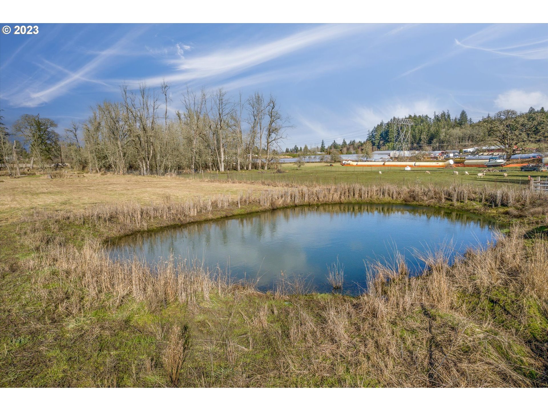 22345 Southwest Farmington Road Beaverton, OR 97007 - Photo 14 of 32 a view of lake with mountain and trees