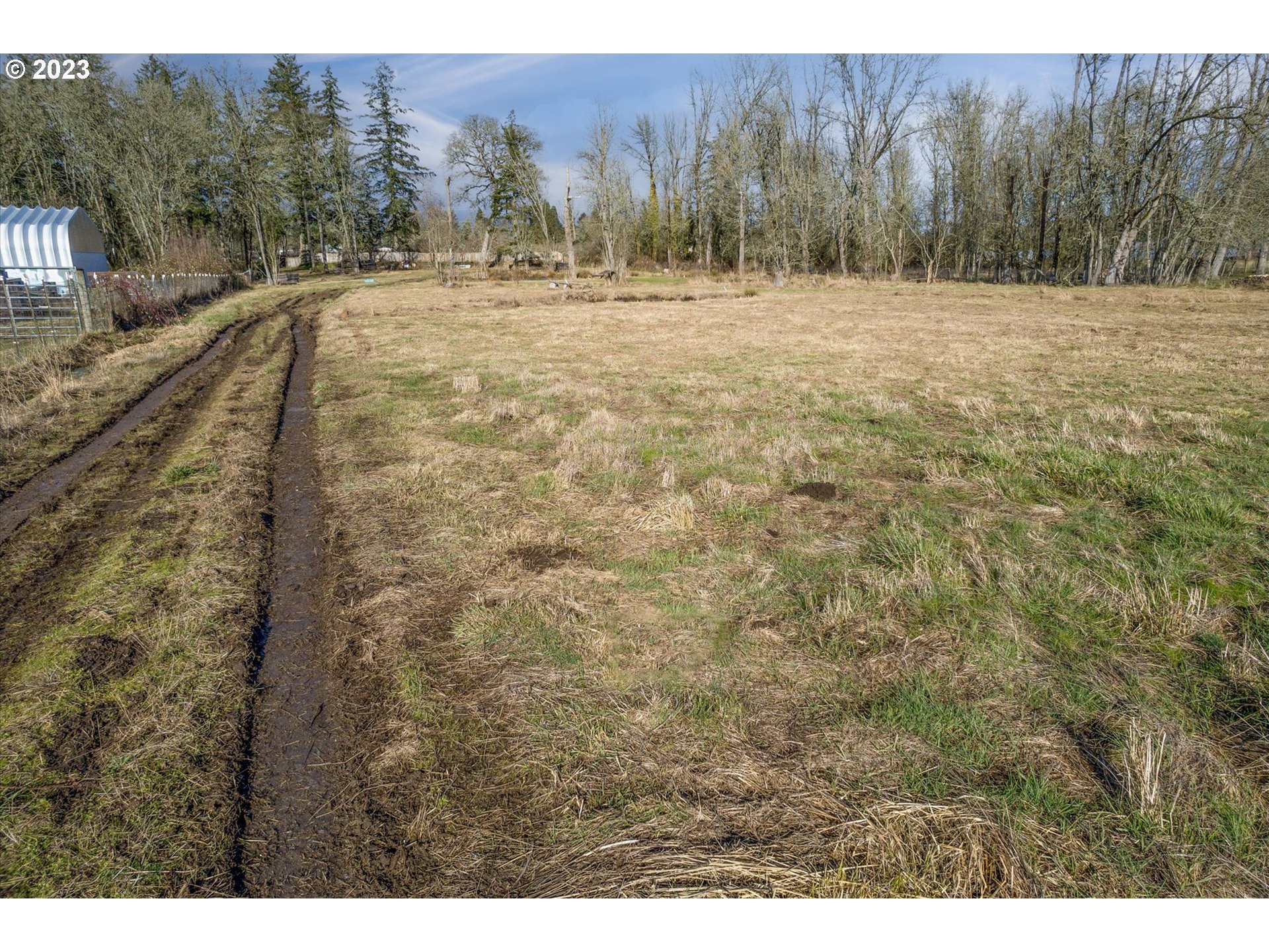 22345 Southwest Farmington Road Beaverton, OR 97007 - Photo 25 of 32 a view of large yard with large trees