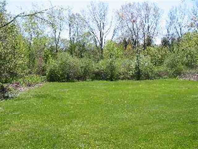 1289 Rutledge Drive Temperance, MI 48182 - Photo 3 of 14 Rear yard