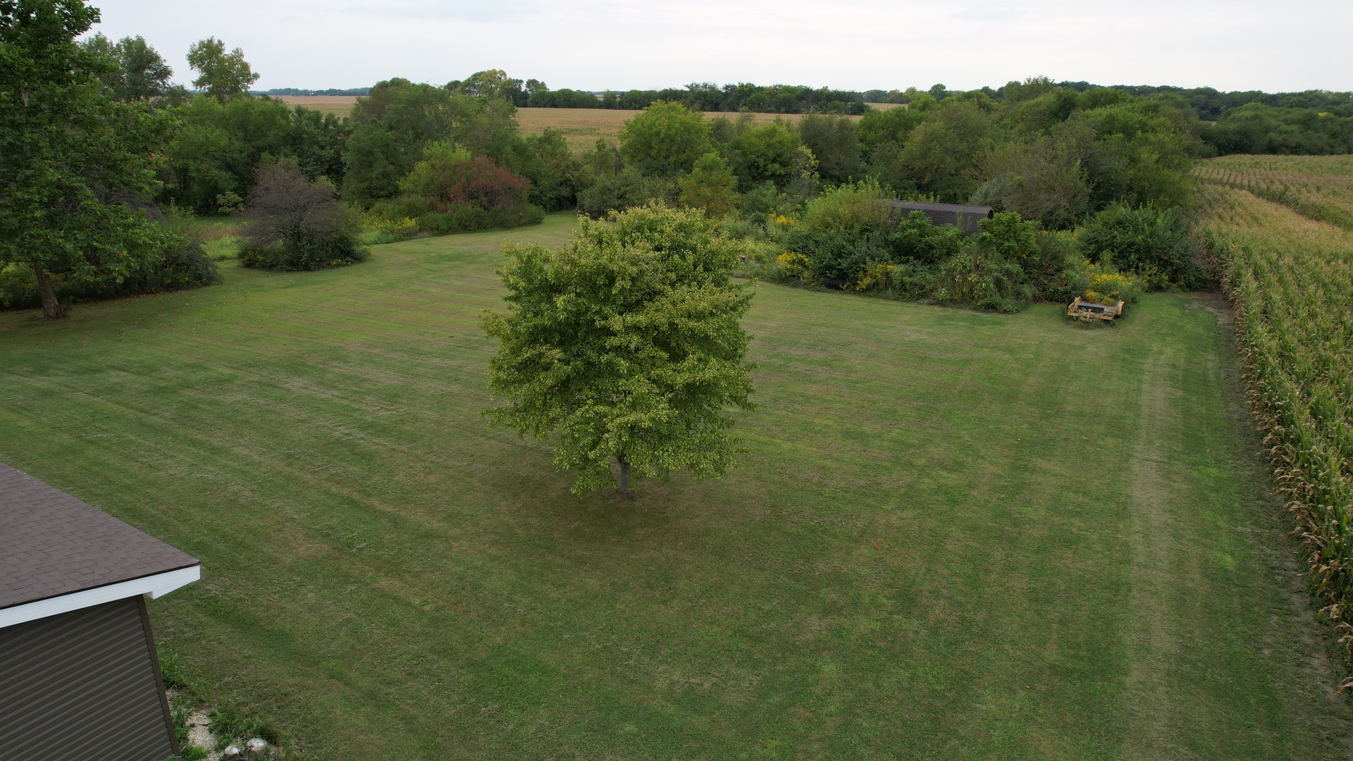 30906 South Cedar Road Manhattan, IL 60442 - Photo 5 of 7
