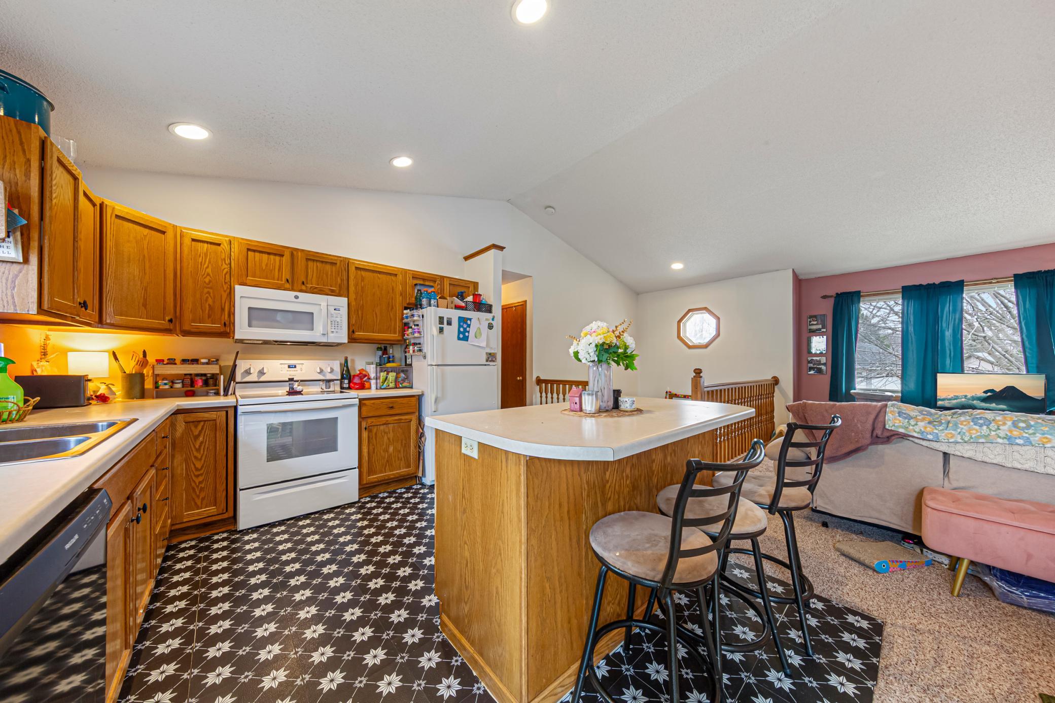 135 Barony Road Le Sueur, MN 56058 - Photo 4 of 19