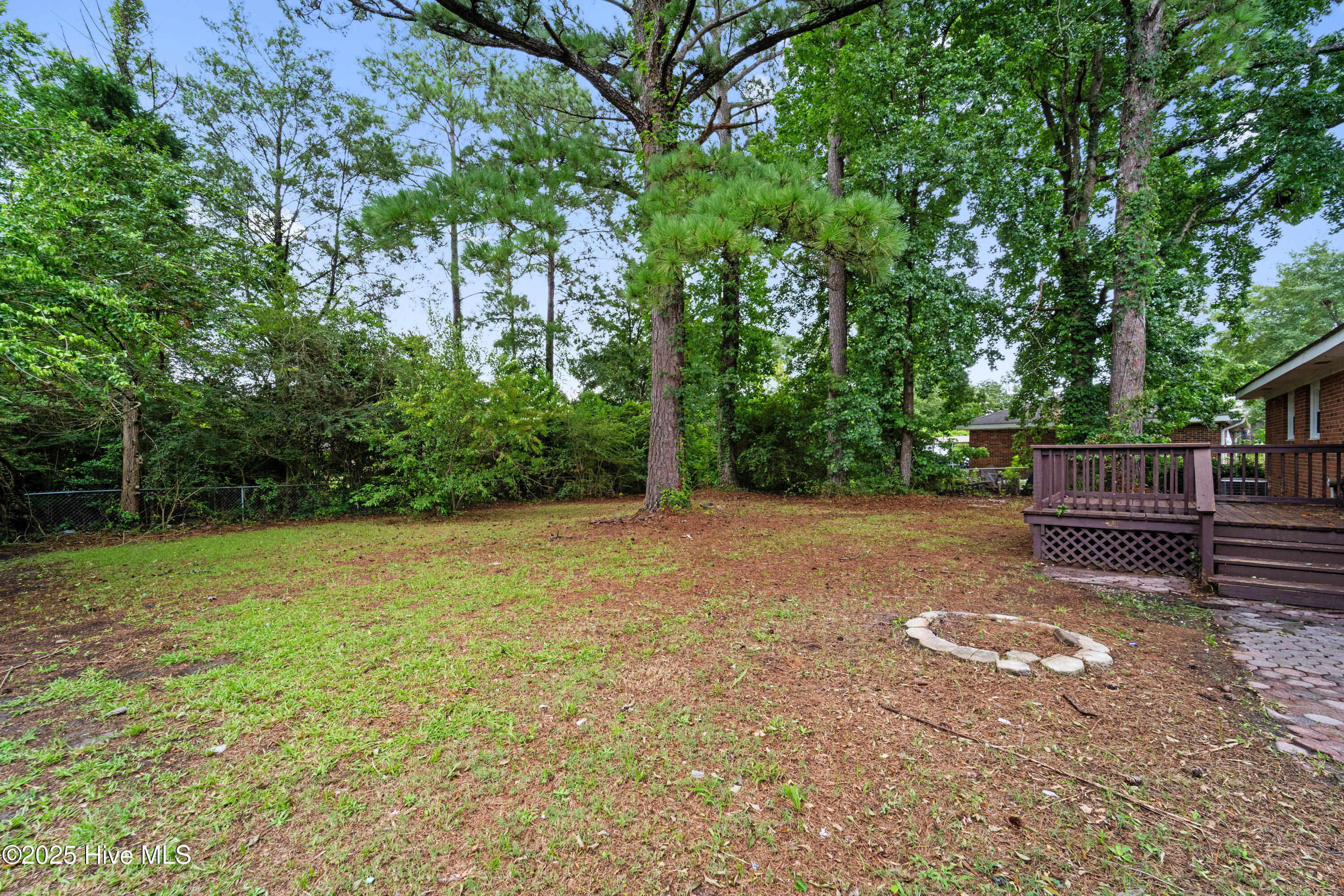 125 Linda Loop Jacksonville, NC 28546 - Photo 16 of 22 Back Yard