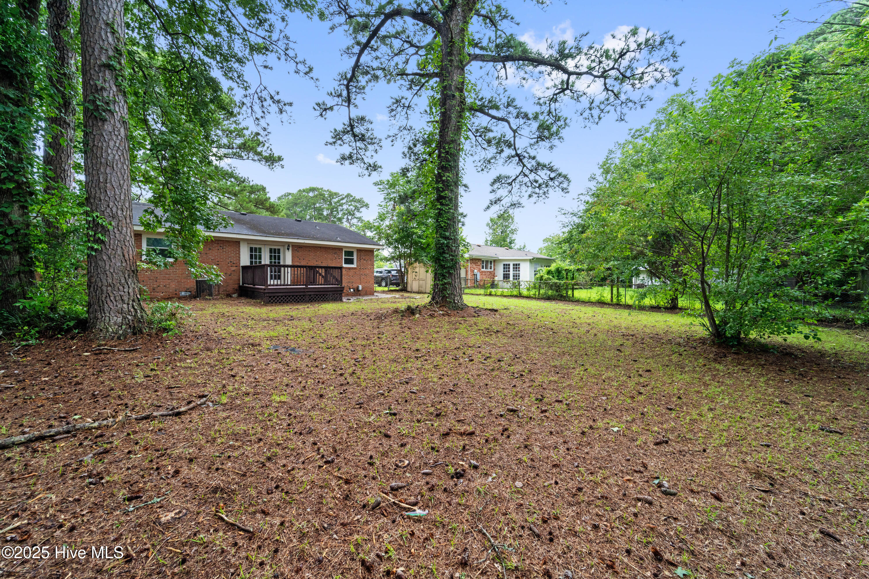 125 Linda Loop Jacksonville, NC 28546 - Photo 18 of 22 Back Yard