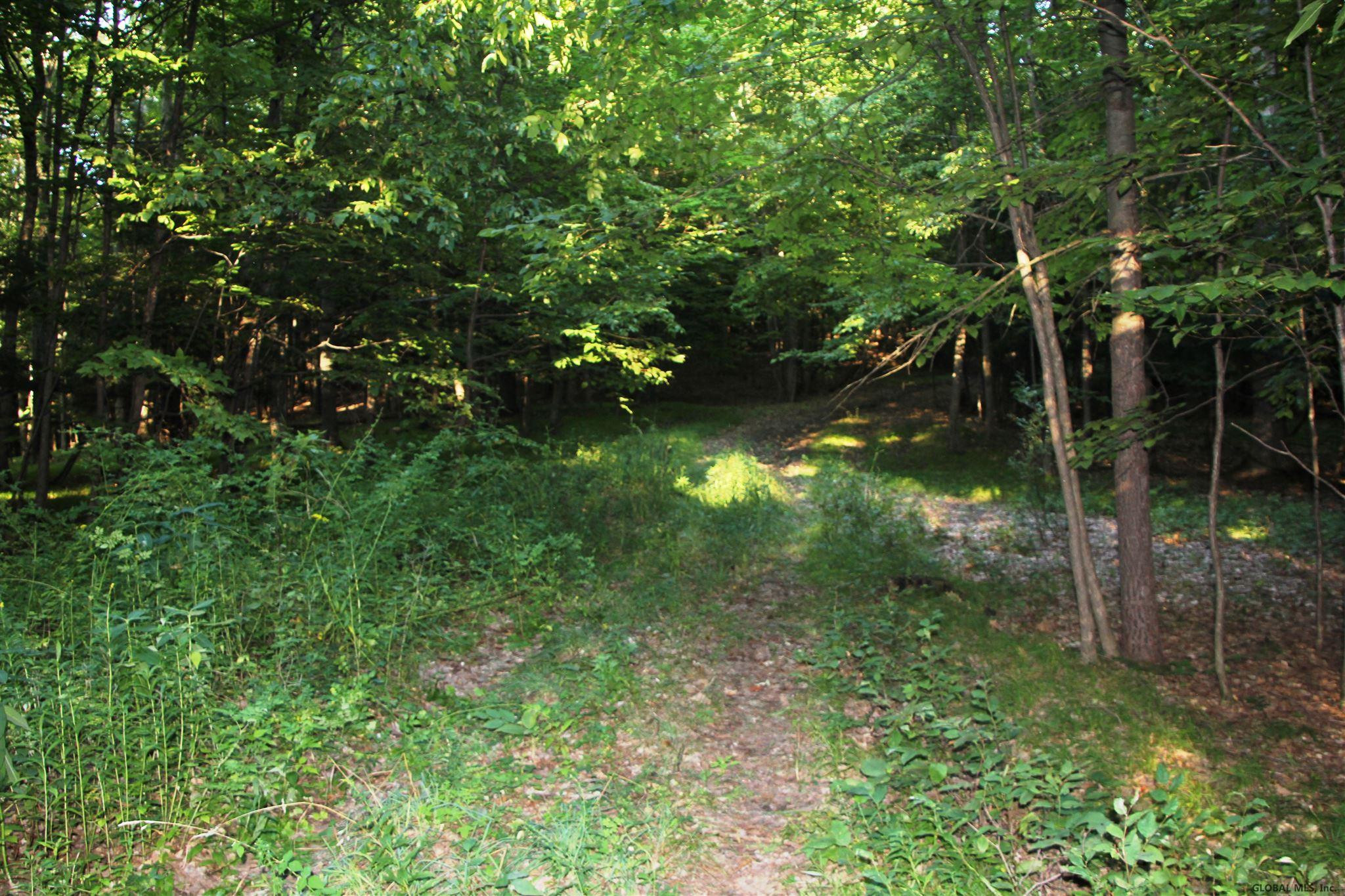 0 Ski Tow Road Cobleskill, NY 12043 - Photo 1 of 7 Photo 1