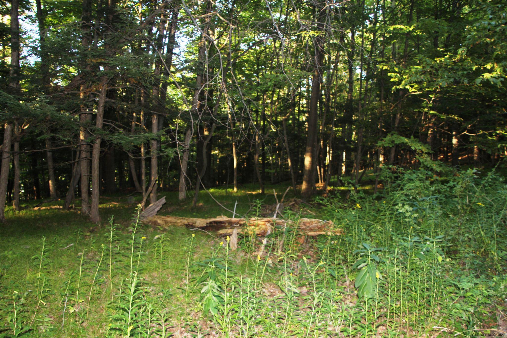 0 Ski Tow Road Cobleskill, NY 12043 - Photo 2 of 7 Photo 2