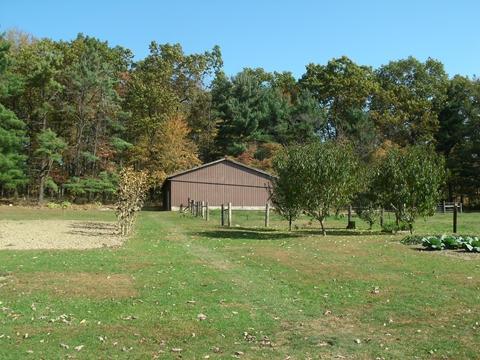 18212 Turkey Ridge Road Danville, OH 43014 - Photo 9 of 12