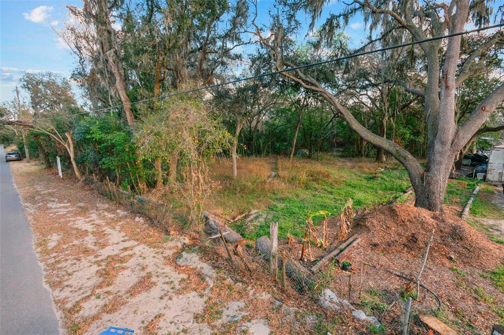 11119 Bessie Dix Road Seffner, FL 33584 - Photo 6 of 12