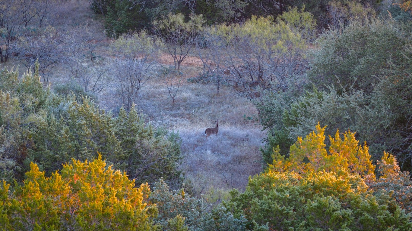 532 County Road 468 Rochelle, TX 76872 - Photo 25 of 39 View of wooded area