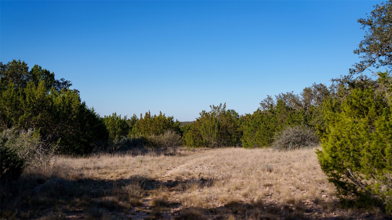 532 County Road 468 Rochelle, TX 76872 - Photo 27 of 39 View of tree filled area with a view of countryside