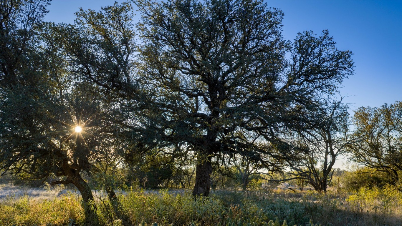 532 County Road 468 Rochelle, TX 76872 - Photo 36 of 39 View of undeveloped land