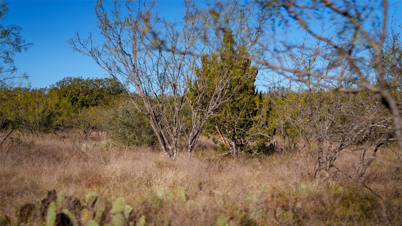 532 County Road 468 Rochelle, TX 76872 - Photo 8 of 39 View of nature