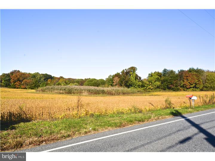 84 West Tomlin Station Road Mickleton, NJ 08056 - Photo 16 of 17 View from Front Door