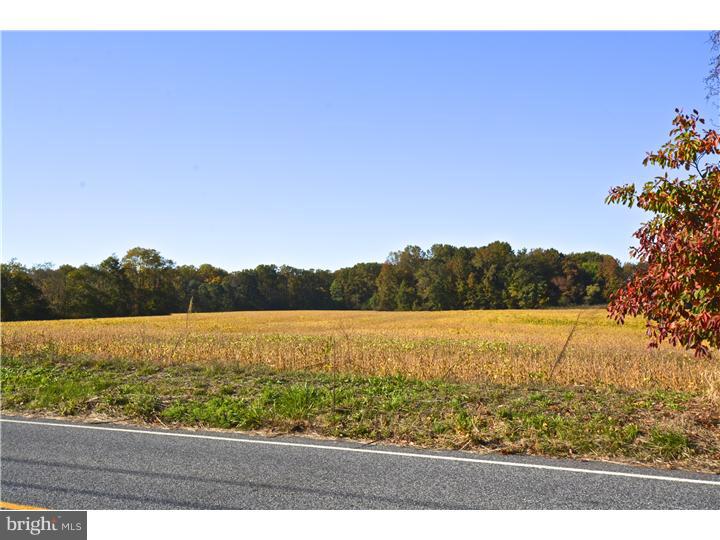 84 West Tomlin Station Road Mickleton, NJ 08056 - Photo 3 of 17 View from Front Door