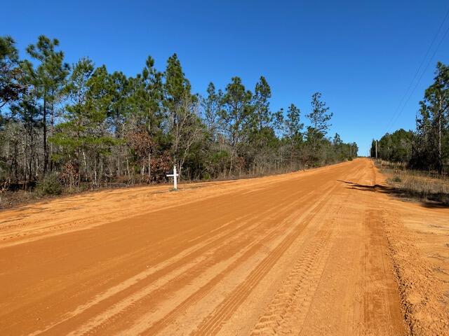 4-acres Patch Road DeFuniak Springs, FL 32433 - Photo 4 of 7 IMG_2752