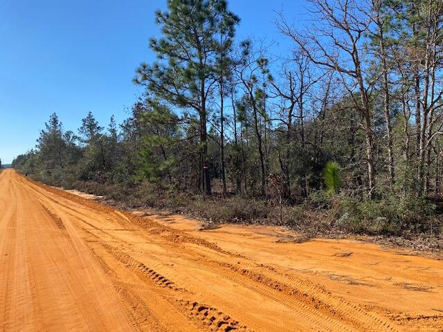 4-acres Patch Road DeFuniak Springs, FL 32433 - Photo 5 of 7 IMG_2753