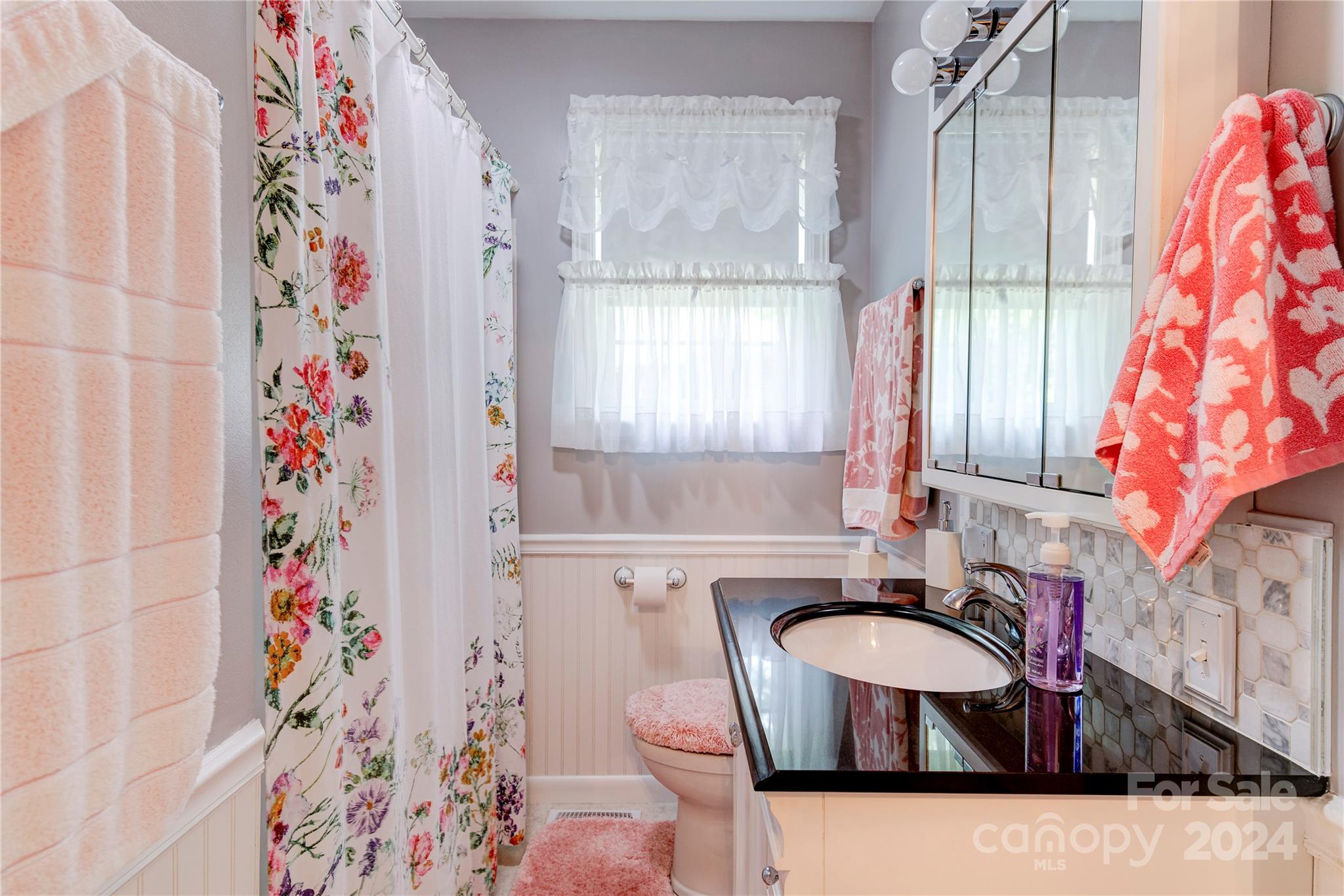 155 Arthur Road Asheville, NC 28806 - Photo 17 of 29 a bathroom with a sink a mirror and a shower curtain