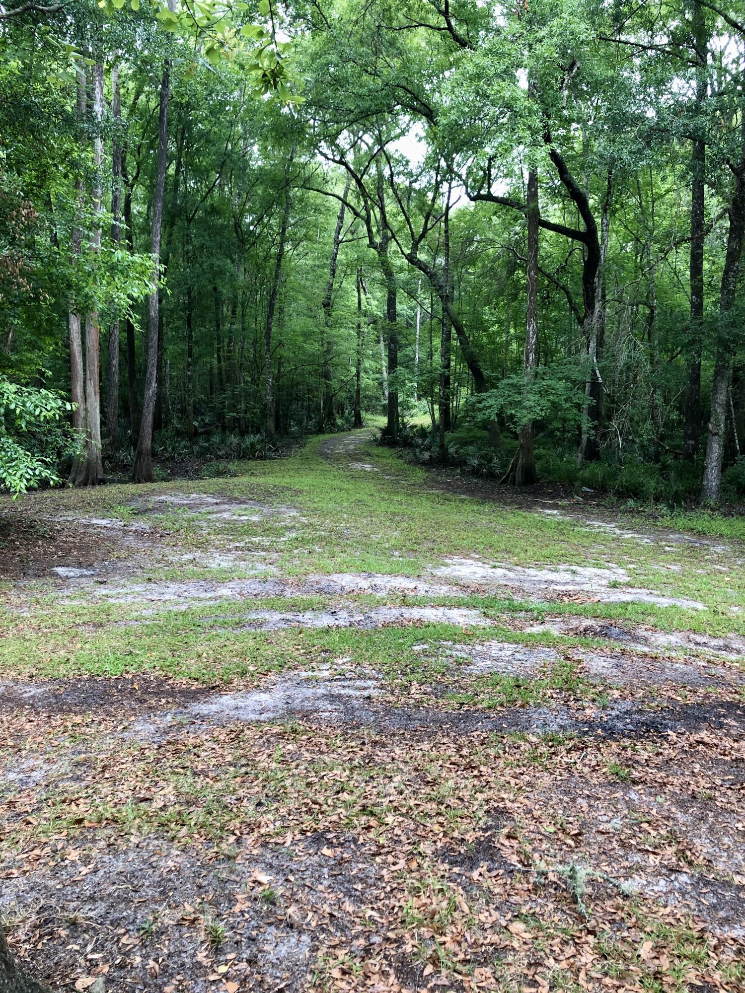 7425 Parkers Ferry Road Adams Run, SC 29426 - Photo 12 of 41 IMG_2132