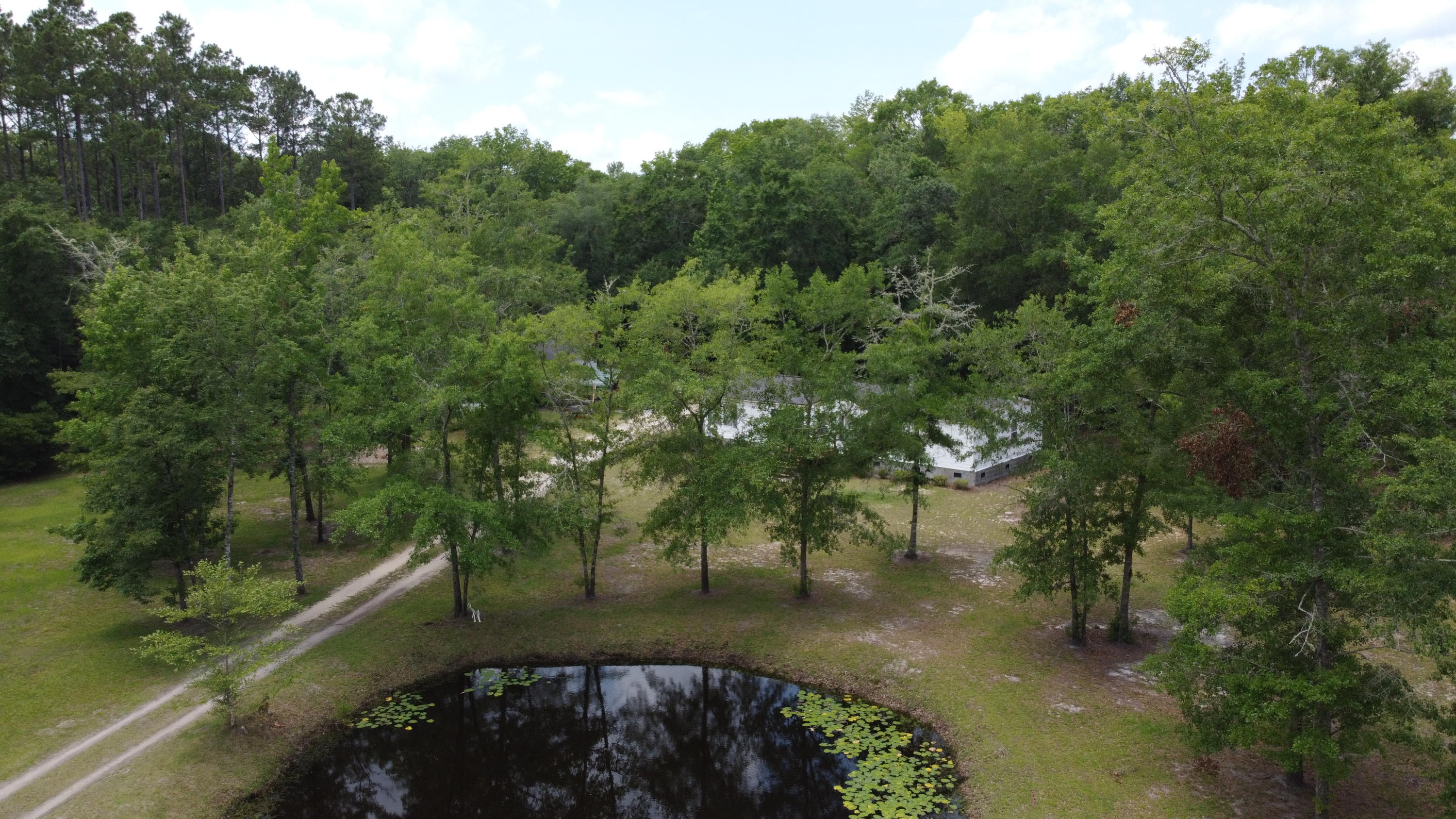 7425 Parkers Ferry Road Adams Run, SC 29426 - Photo 4 of 41 DJI_0020