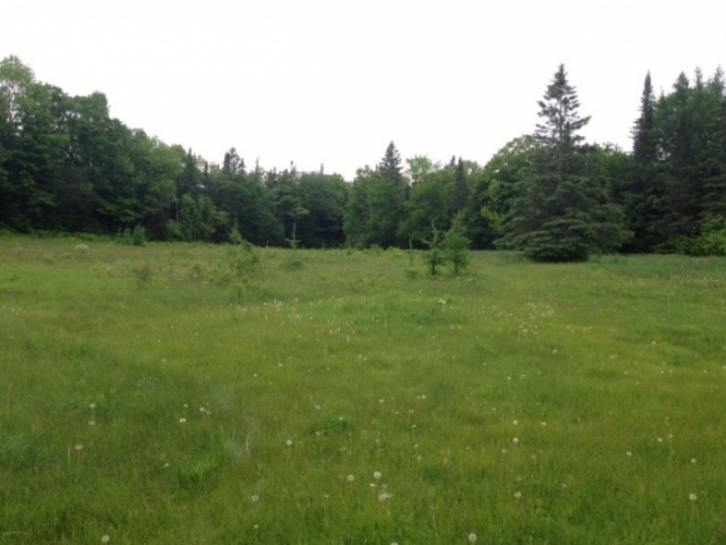 122 Ryder Road Corinth, VT 05039 - Photo 13 of 19