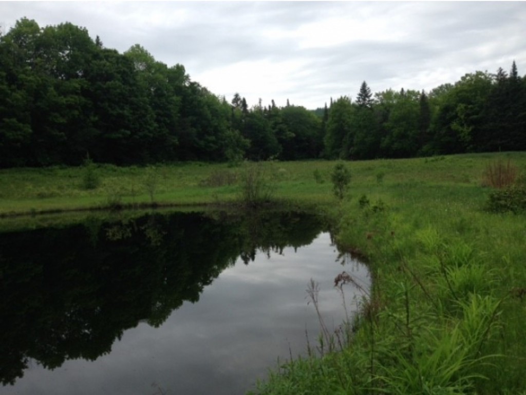 122 Ryder Road Corinth, VT 05039 - Photo 14 of 19