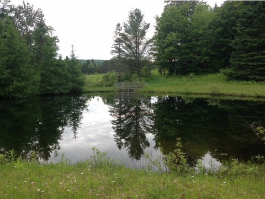 122 Ryder Road Corinth, VT 05039 - Photo 15 of 19