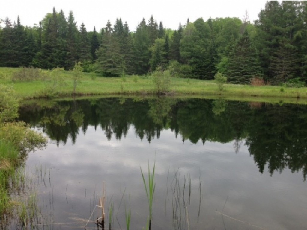 122 Ryder Road Corinth, VT 05039 - Photo 16 of 19