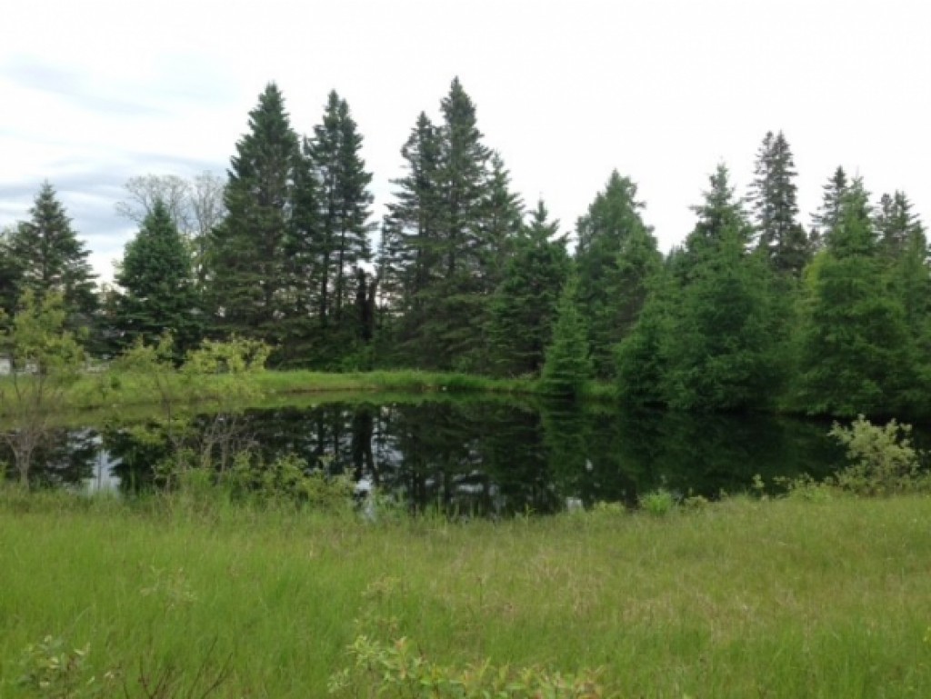 122 Ryder Road Corinth, VT 05039 - Photo 18 of 19