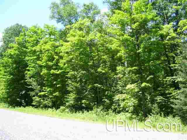 Tbd Montgomery Lake Road Florence, WI 54121 - Photo 2 of 2