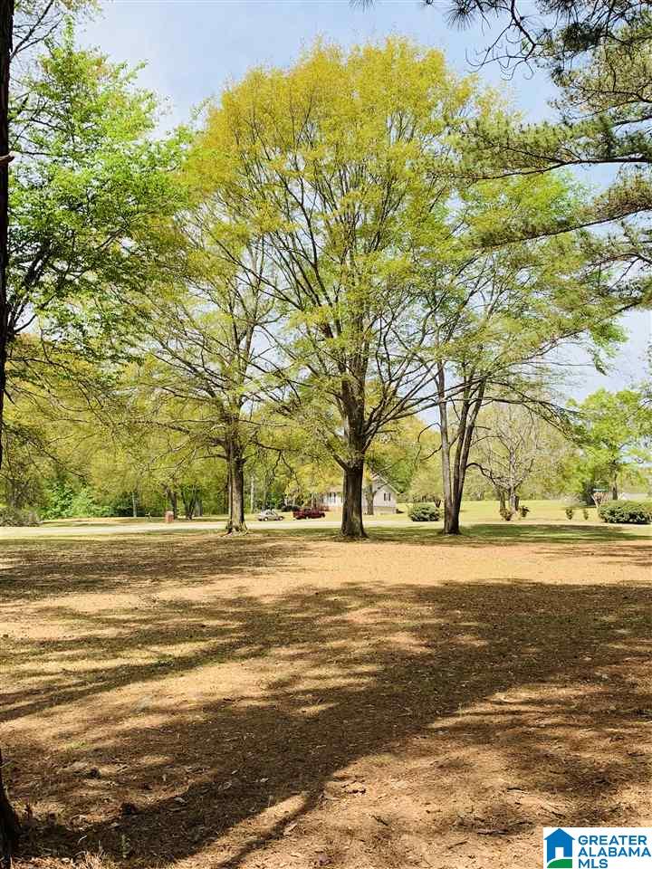 0 Carleton Point, Unit 10 Wilsonville, AL 35186 - Photo 4 of 14
