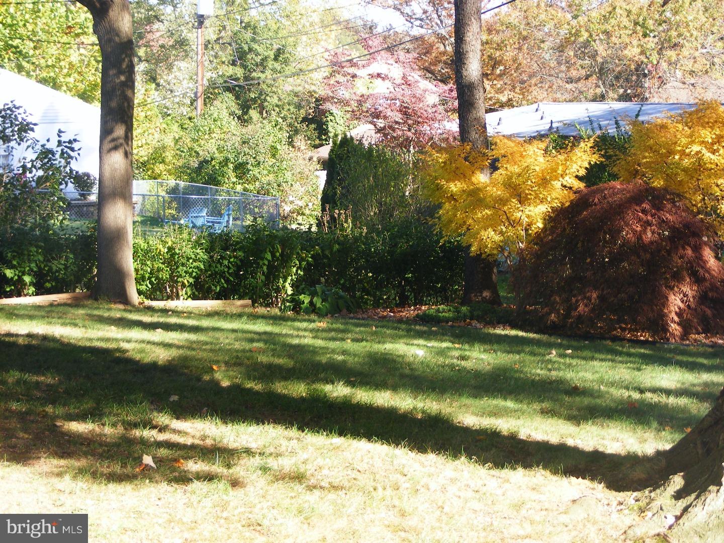 201 Mulberry Road Newark, DE 19711 - Photo 24 of 25 Back Yard
