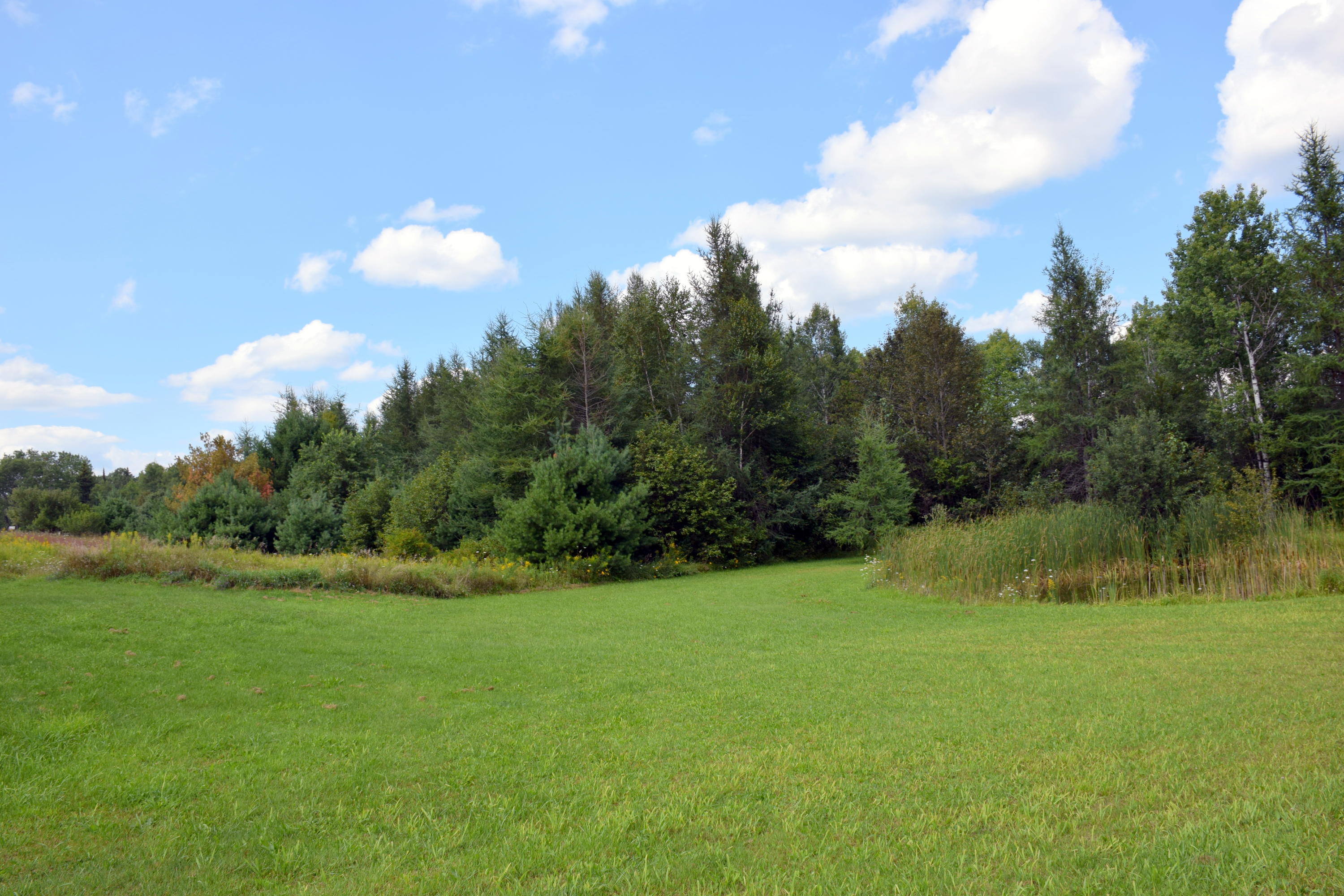 7217 Osmun Road Afton, MI 49705 - Photo 24 of 24 Gallery Image 24